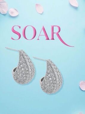 Park Lane Soar Earrings NWT
